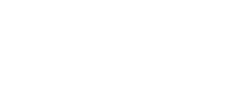 Lion Nieruchomości